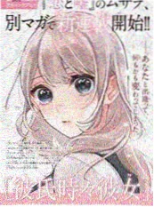 《白鹭洲失踪案》封面